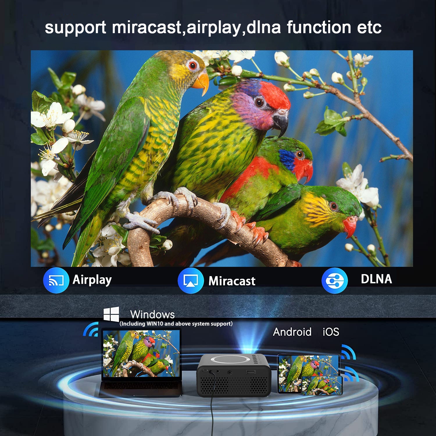 YT300 Mobile Video Projector