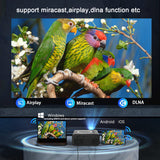 YT300 Mobile Video Projector